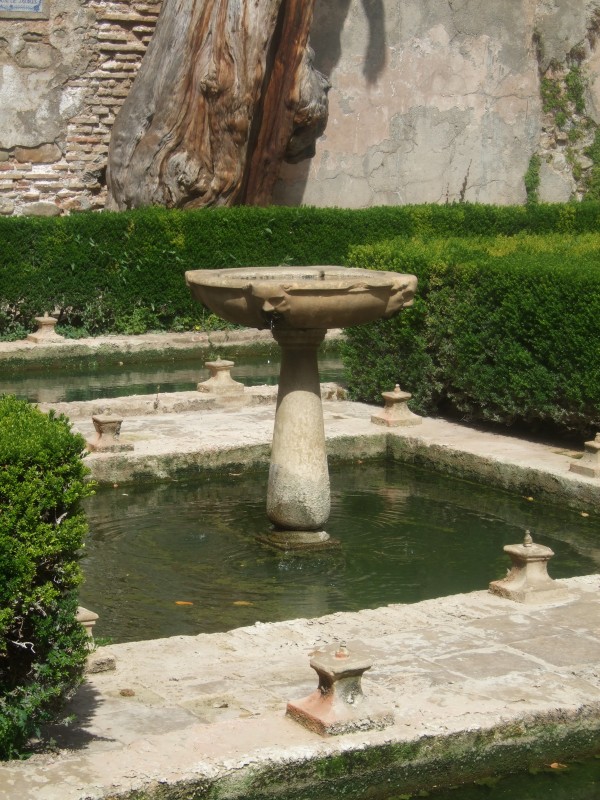 Anadalusien 2009 - 0840 